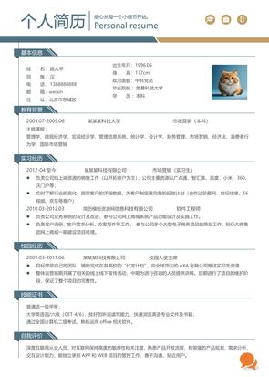 简历模板预览 2