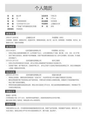 简历模板预览 3
