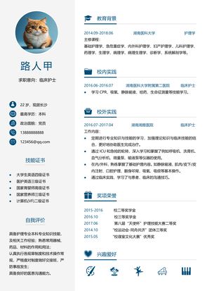 简历模板预览 5